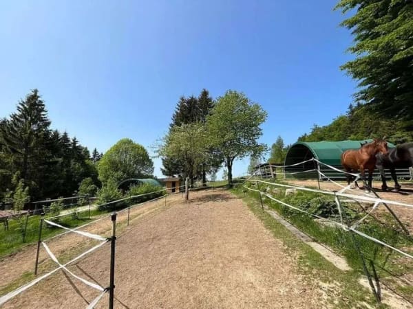 Immobilie in Neureichenau - KAUF GEGEN GEBOT! Landhaus für Tierfreunde mit Reitplatz & Pferdestall – Neureichenau - Bild 3