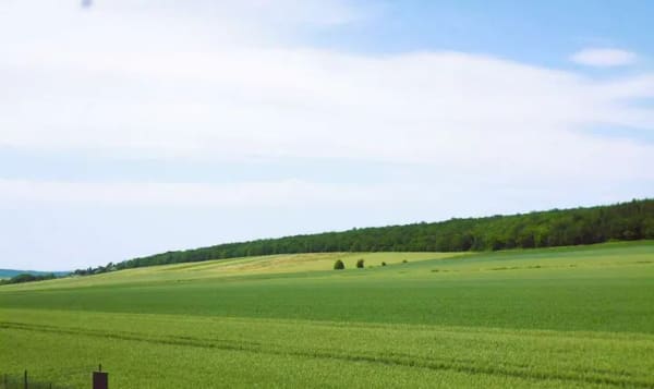 Immobilie in Elbe - Einfamilienhaus mit toller Aussicht in Groß Elbe - Bild 1