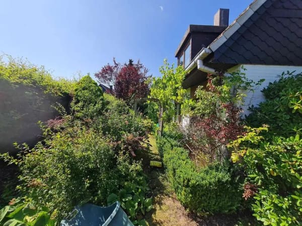 Immobilie in Flensburg - Der Traum vom preiswerten Eigenheim gegen etwas Eigenleistung - Bild 2