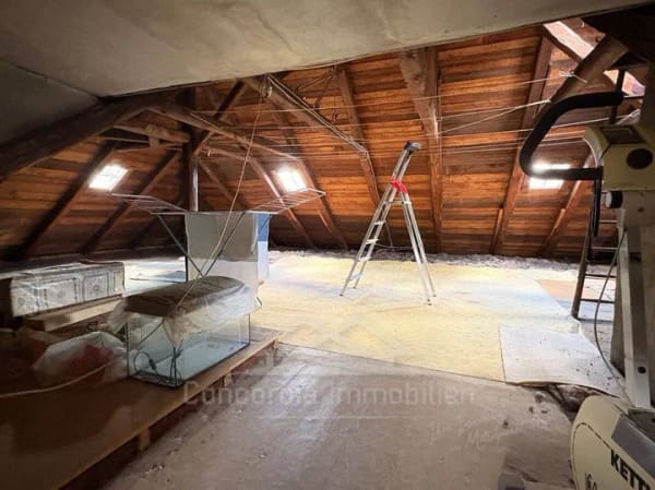 Immobilie in Radebeul - Charmantes Ein-/ Zweifamilienhaus mit viel Potenzial  - Bild 4