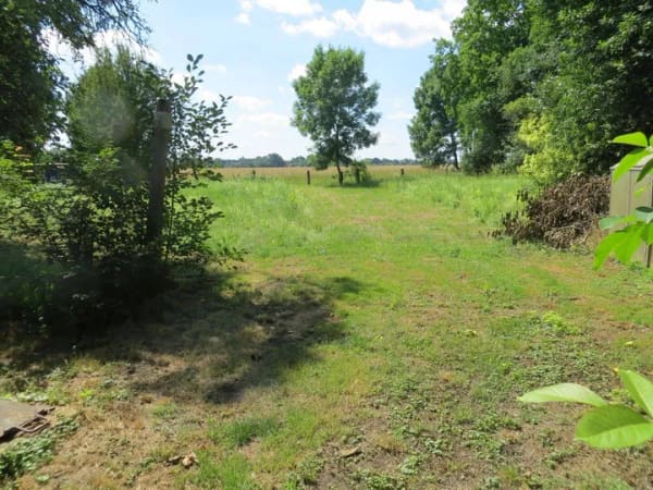 Immobilie in Drebkau - Ruhe pur zwischen Cottbus und Drebkau - Bild 3
