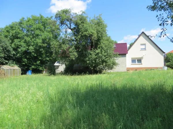 Immobilie in Drebkau - Ruhe pur zwischen Cottbus und Drebkau - Bild 4