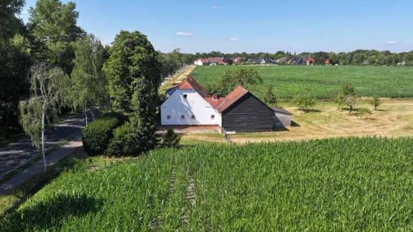 Immobilie in Espelkamp - In Alleinlage auf einem 4.672 m² Grundstück... - Bild 2