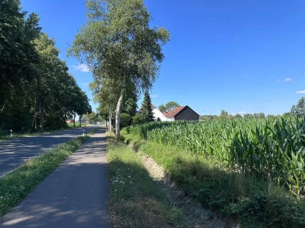 Immobilie in Espelkamp - In Alleinlage auf einem 4.672 m² Grundstück... - Bild 3