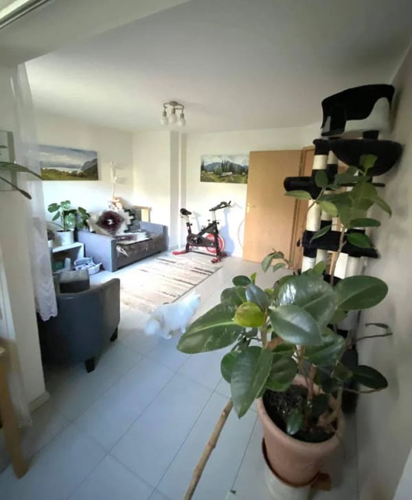 Immobilie in Tiefenbronn - Pforzheim-Würm *perfekt geschnittene 3-Zimmer-Wohnung mit Terrasse und Garage  - Bild 4
