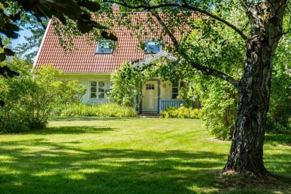 Immobilie in Zingst - Skandinavienflair I Einladendes Einfamilienhaus mit Kamin, Wintergarten und großem Gartenidyll - Bild 1