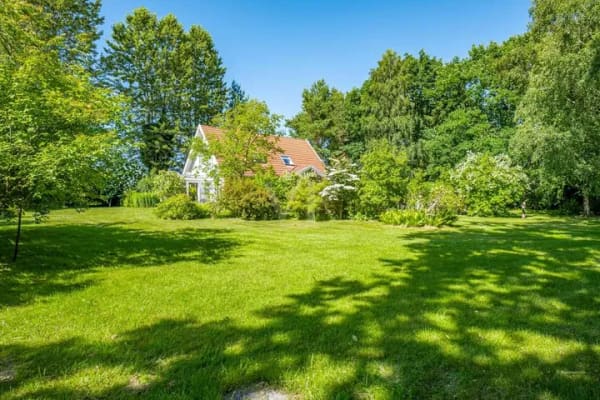 Immobilie in Zingst - Skandinavienflair I Einladendes Einfamilienhaus mit Kamin, Wintergarten und großem Gartenidyll - Bild 4