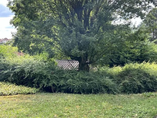 Immobilie in Eningen unter Achalm - Große komfortable DHH in idyllischer Lage und uneinsehbarer Terrasse Eningen u.A. - Bild 0