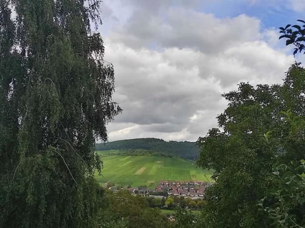 Immobilie in Weinstadt - ++Charmantes Wochenendhaus mit idyllischem Garten – Ihr persönlicher Rückzugsort im Grünen++ - Bild 0