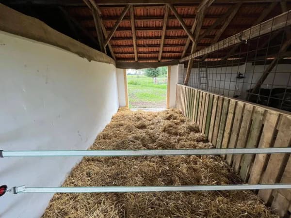 Immobilie in Rahden - Resthof mit Weideflächen in 32369 Rahden - Bild 3