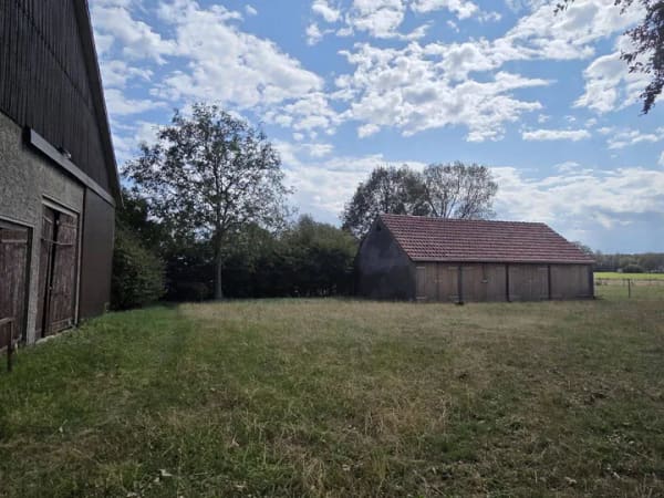 Immobilie in Rahden - Resthof mit Weideflächen in 32369 Rahden - Bild 4