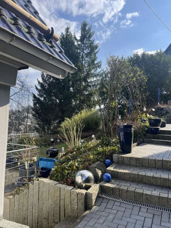 Immobilie in Netphen - ⭐️Charmantes Einfamilienhaus mit ELW in Netphen⭐️ - Bild 4
