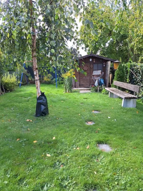Immobilie in Alsdorf - Kapitalanlage - Mehrfamilienhaus im Herzen von Alsdorf - Hoengen - Bild 1