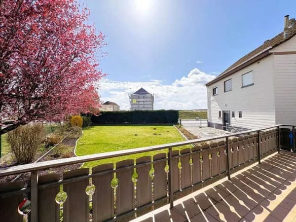 Immobilie in Babenhausen - Zwei Häuser, viele Möglichkeiten: Bungalow & vielseitig nutzbares Zweithaus auf großem Grundstück - Bild 3
