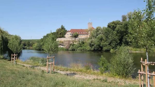 Immobilie in Lauffen am Neckar - *** 2-Zimmer-Erdgeschosswohnung mit großer Terrasse, Aufzug & Tiefgarage in Lauffen am Neckar *** - Bild 2