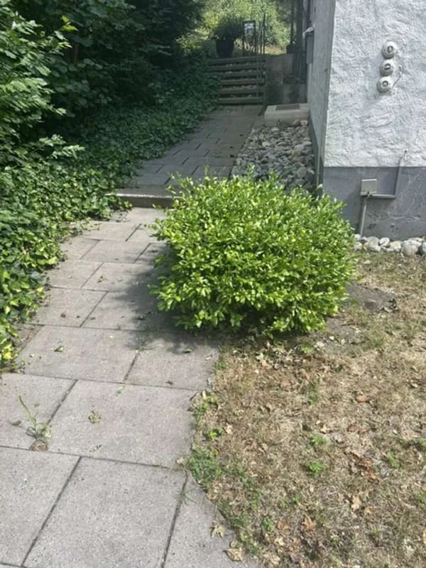 Immobilie in Eningen unter Achalm - Lichtdurchflutetes Familienglück: einladende DHH mit Wohnfühlgarantie, bezugsfrei, Eningen u.A. - Bild 0