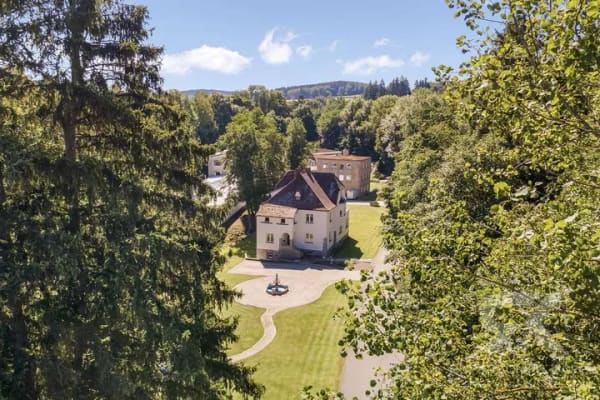 Immobilie in Floß - Ein Anwesen mit Geschichte und Zukunft - Stilvolle Villa für außergewöhnliches Wohnen bei Floß - Bild 3