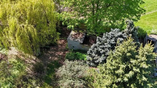Immobilie in Halle (Saale) - Villa mit RIESIGEM Garten - Bild 3