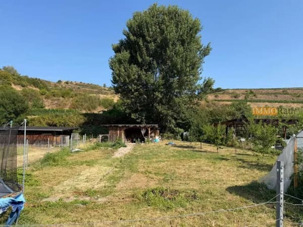 Immobilie in Vogtsburg im Kaiserstuhl - IMMORath.de - Winzerhof mit Gartengrundstück ohne KI - Bild 3