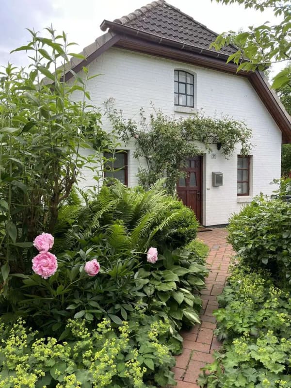Immobilie in Neufeld - Idylle am Deich - Bild 0