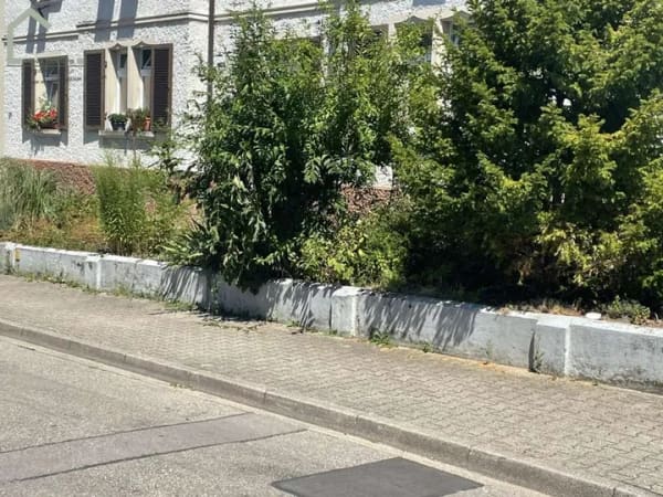 Immobilie in Waldshut-Tiengen - Stadtnah wohnen, ruhig und angenehm wohnen - 3-Zimmerwohnung - Bild 3