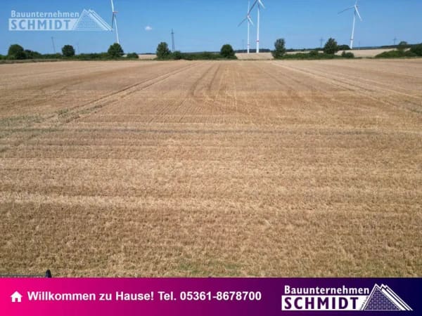 Immobilie in Groß Twülpstedt - Exklusives Familiendomizil in Papenrode | Smart Home mit Wohlfühlgarantie und sofortiger Bezugsfertigkeit! - Bild 0