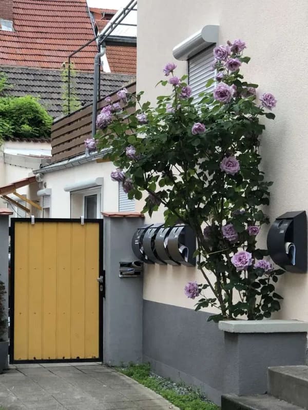 Immobilie in Hemsbach - Mehrfamilienhaus im Zentrum von Hemsbach - privat ohne Makler - Bild 0