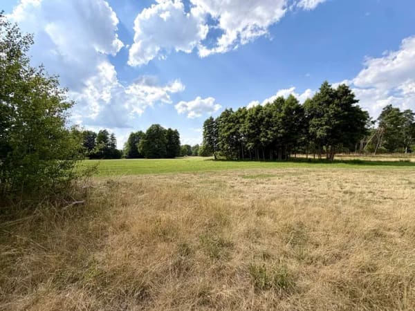 Immobilie in Strausberg - Seltene Gelegenheit:  Bauernhaushälfte mit über 14.500 m² Grundbesitz  im Strausberger Postbruch - Bild 0