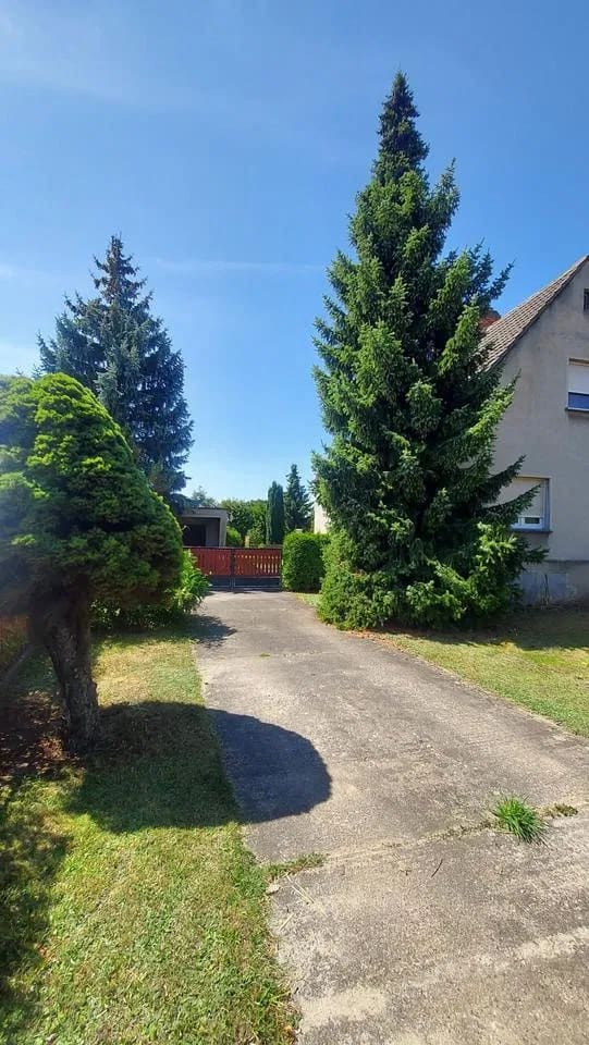 Immobilie in Zahna-Elster - Einfamilienhaus freistehend - Bild 0