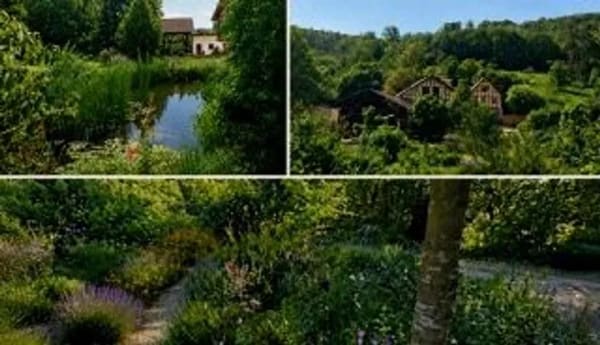Immobilie in Rhens - Von Privat !        Ein Paradies in traumhafter Landschaft  - Bild 3