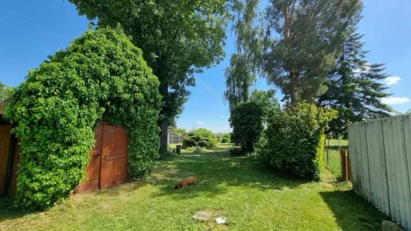 Immobilie in Halle (Saale) - Ein Unikat zwischen Stadt und Natur - Bild 3