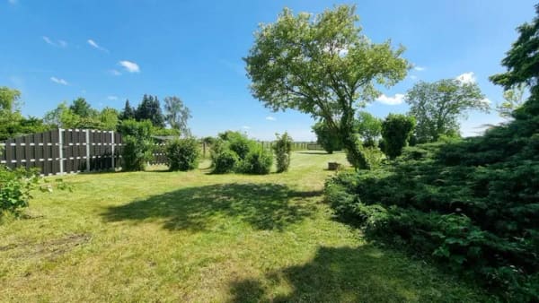 Immobilie in Halle (Saale) - Ein Unikat zwischen Stadt und Natur - Bild 4