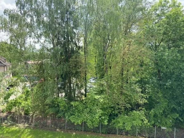 Immobilie in Ravensburg - Große 2-Zimmerwohnung mit Lift in der Südstadt! - Bild 1