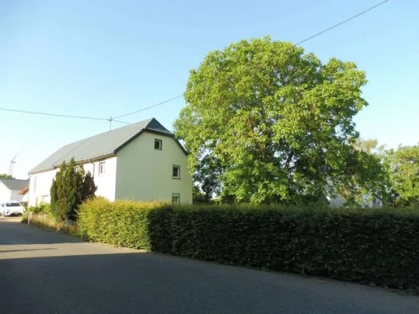 Immobilie in Lahr - Fassade, Fenster und Dacheindeckung bereits erneuert - Bild 2