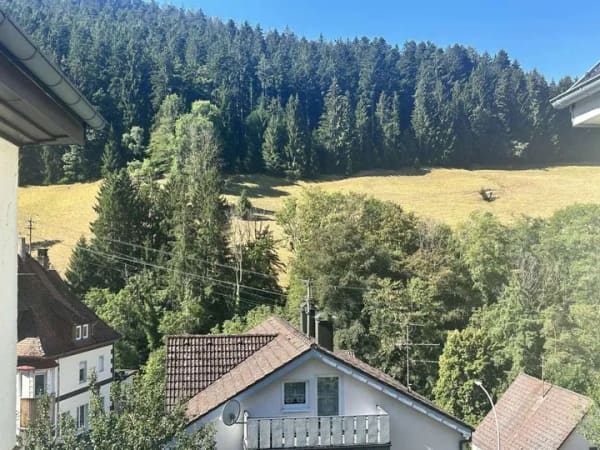 Immobilie in Schramberg - Charmantes Fachwerkhaus mit sonnigem Garten - ein Zuhause voller Möglichkeiten! - Bild 3