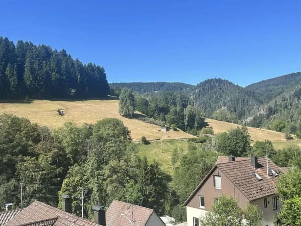 Immobilie in Schramberg - Charmantes Fachwerkhaus mit sonnigem Garten - ein Zuhause voller Möglichkeiten! - Bild 4