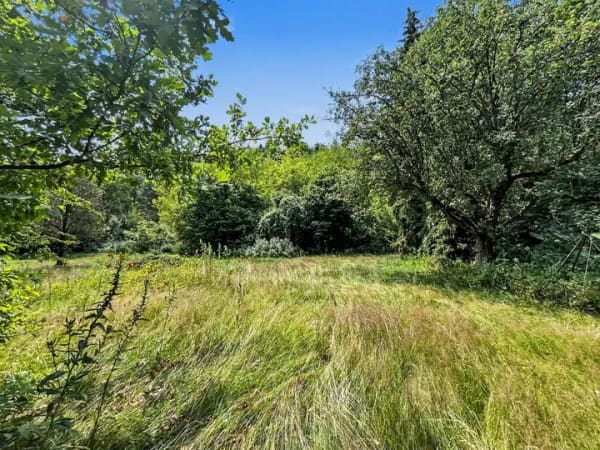 Immobilie in Schenkendöbern - Viel Platz für Ihre Ideen - Einfamilienhaus in naturnaher Lage von Schenkendöbern - Bild 1