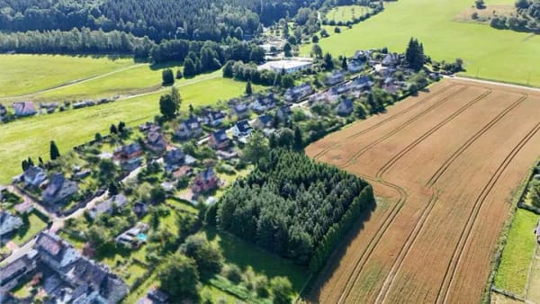 Immobilie in Raschau-Markersbach - Gemütliches Einfamilienhaus in ruhiger Wohnsiedlung mit schönem Garten und kleinem Wald in Raschau - Bild 3