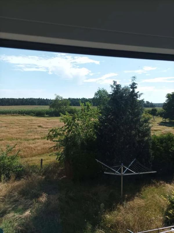Immobilie in Vierhöfen - Großes Einfamilienhaus mit einem zusätzlichen 500 m² großen Bauplatz (Nähe Salzhausen) - Bild 1