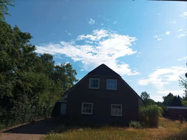 Immobilie in Vierhöfen - Großes Einfamilienhaus mit einem zusätzlichen 500 m² großen Bauplatz (Nähe Salzhausen) - Bild 2