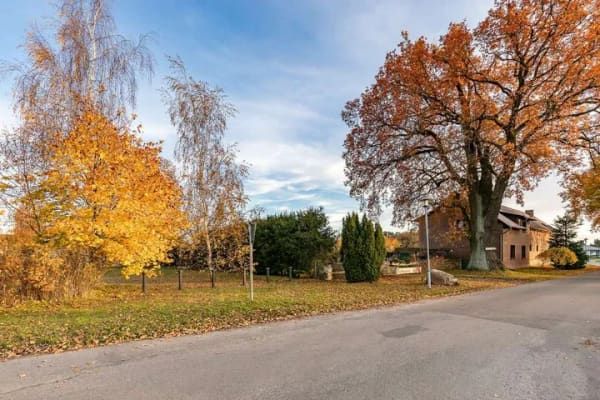 Immobilie in Tauche - Viel Platz für Ideen: Wohnhaus, Veranstaltungsgebäude und großes Grundstück in Tauche! - Bild 2