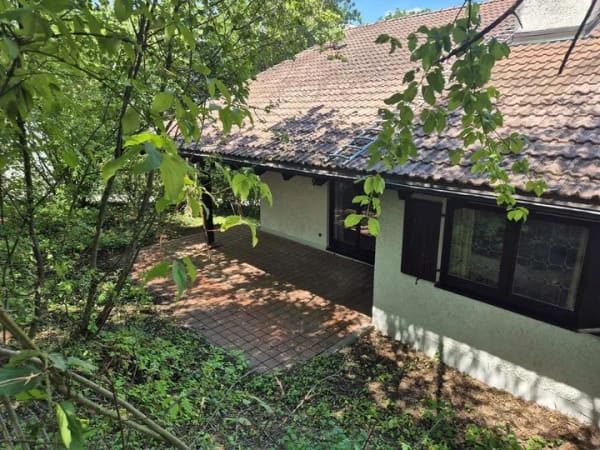 Immobilie in Dingolfing - Auf dem "Brunnerfeld" - Großzügiges Einfamilienhaus mit Einliegerwohnung in bester Wohnlage! - Bild 1