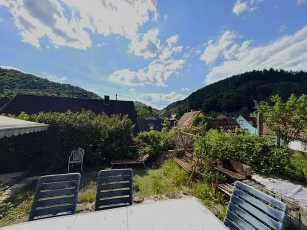 Immobilie in Schönau - Wohnen, wo andere Urlaub machen – Mehrfamilienhaus mit 3 Wohneinheiten im Herzen des Pfälzerwaldes - Bild 4