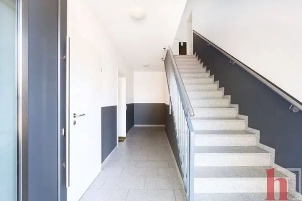 Immobilie in Steinfeld - Attraktive Eigentumswohnung -Penthouse- mit schöner Dachterrasse in Steinfeld - Bild 1