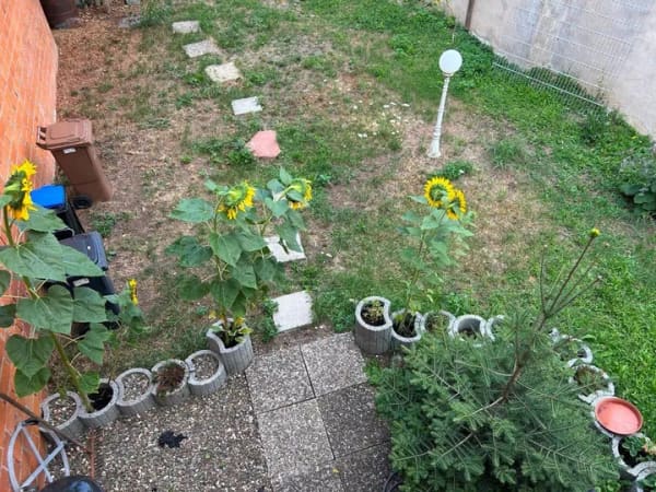 Immobilie in Haßfurt - Interessante Kapitalanlage in zentraler Lage mit Garten, Balkon und Terrasse! - Bild 4