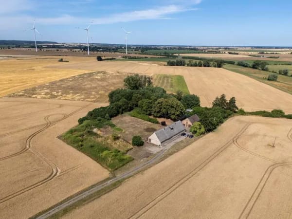 Immobilie in Bartow - Alleinlage trifft Ausbaupotenzial - Ihr Projekt auf 1 ha Land! - Bild 4