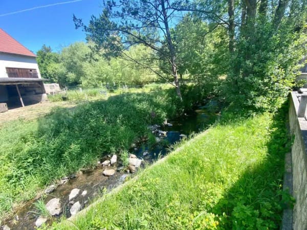 Immobilie in Feldatal - Idylle am Bachlauf: Gepflegtes EFH mit parkähnlichem Garten & Ausbaupotenzial - Bild 3