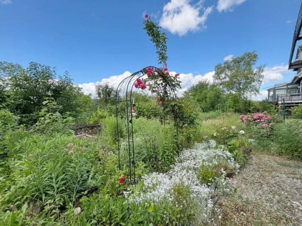 Immobilie in Nagold - Investitionsobjekt mit großem Garten und außergewöhnlicher Aussicht! - Bild 2