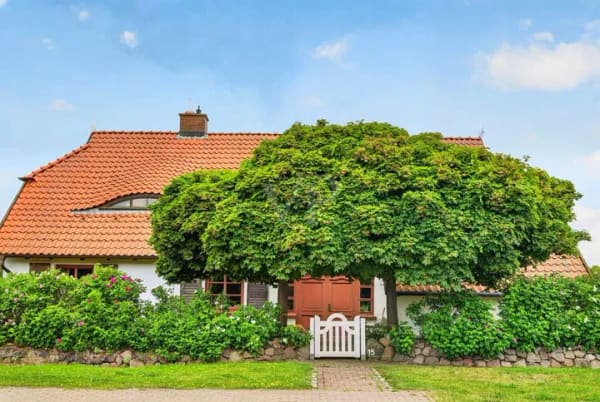 Immobilie in Am Salzhaff - Unikat am Salzhaff - Individuelles Landhaus mit hohem Wohlfühlfaktor auf großzügigem Grundstück - Bild 3