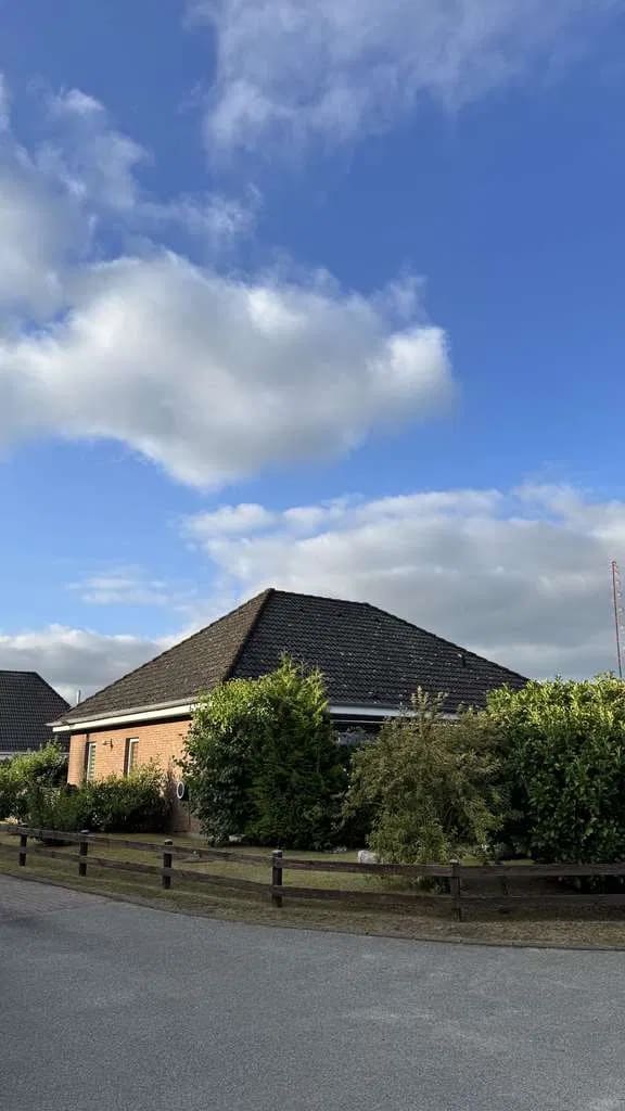 Immobilie in Jübek - Gepflegter Bungalow mit Ausbaureserve – ebenerdig wohnen im wunderschön eingewachsenen Grün! - Bild 1